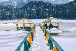 himachal pradesh travel agency