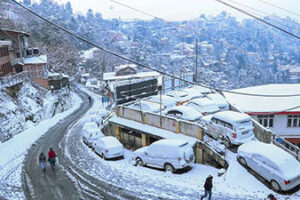 Shimla